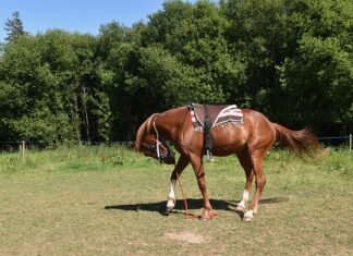 Gdzie nie można montować pieca gazowego?