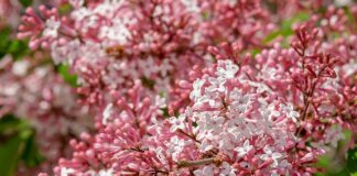 Po co jest dziura w ostrzu noża?