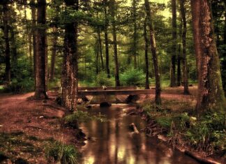 Gdzie powiesić lustro w sypialni?