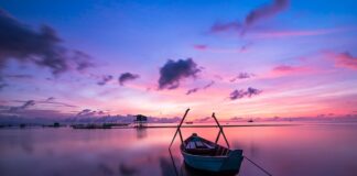 Jaki kolor mebli do pokoju dziennego?