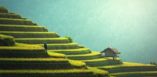 Co położyć na taras betonowy tanio?