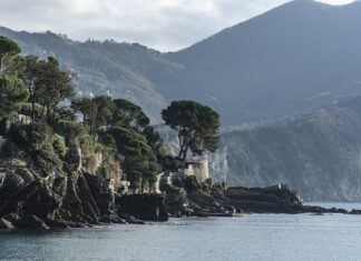 Ile kosztuje wysysarka do oleju?