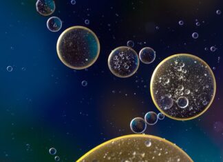 Ile oleju można oddać do Pszok?