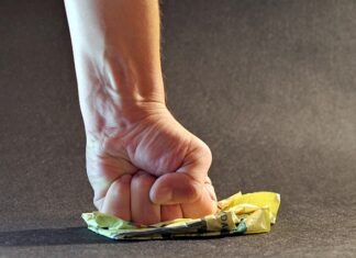 Co można postawić w witrynie?