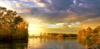 Jakie są modne kolory do sypialni?