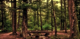 Gdzie umieścić lustro w pokoju?