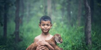 Jak daleko koza od telewizora?